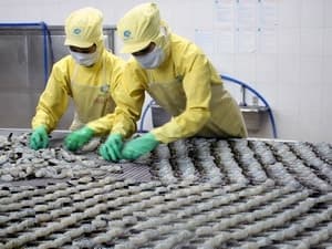 Doanh nghiệp Argentina tìm hiểu thị trường Việt Nam
