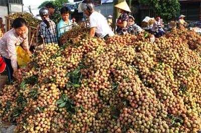 Thận trọng với thị trường thiếu tính ổn định