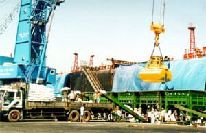 Kim ngạch xuất-nhập khẩu giữa Việt Nam và các thị trường Trung Đông và châu Phi tăng mạnh