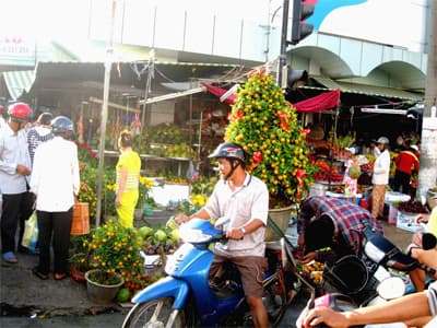 Tất bật mua hoa xuân về đón Tết
