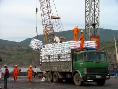 Giá phân bón tăng cao, nông dân Bình Định lo lắng