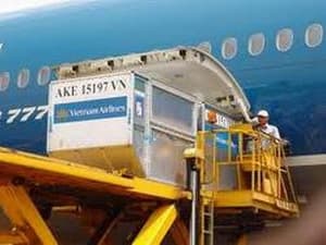 Sẽ miễn thuế hàng nhập khẩu dưới 1 triệu đồng