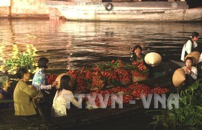 Tiền Giang : Khai mạc lễ hội chợ nổi Cái Bè