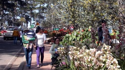 Du lịch 2-9: Nhiều du khách chọn tour ngắn ngày