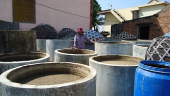Gian nan mở rộng thị trường
