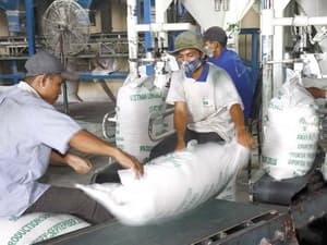 Năm 2011, Việt Nam phấn đấu xuất khẩu 6 triệu tấn gạo