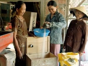 Chính phủ tiếp tục hỗ trợ nhân dân 3.730 tấn gạo trong dịp Tết Nguyên đán và giáp hạt năm 2011