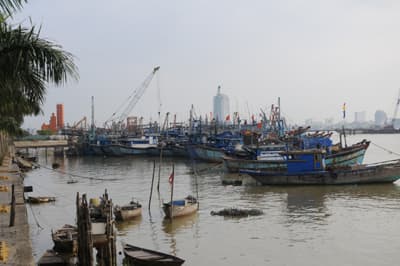 Dầu tăng giá, ngư dân “tự cứu mình”