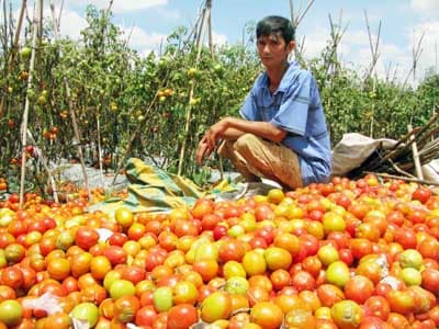 Đâu là giải pháp phát triển bền vững?