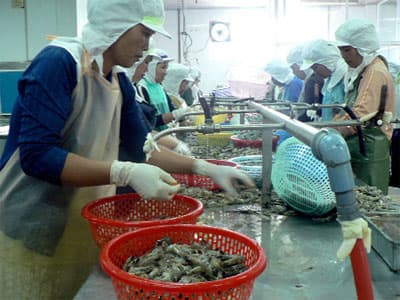 Cần tăng cường kiểm tra dư lượng Trifluralin trong sản phẩm thủy sản