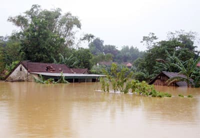 Sống trong ngập lụt