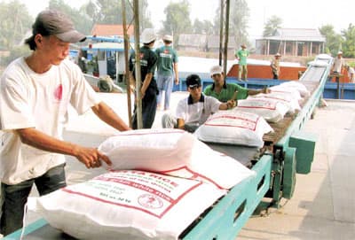 Xuất khẩu gạo: “Doanh nghiệp phải thay đổi tư duy”
