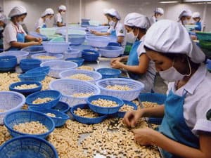 Xuất khẩu nông-lâm-thủy sản giảm gần 9%