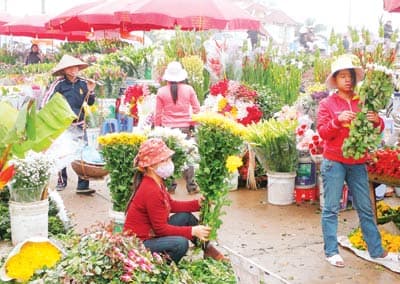 Nguồn cung dồi dào, thị trường sôi động