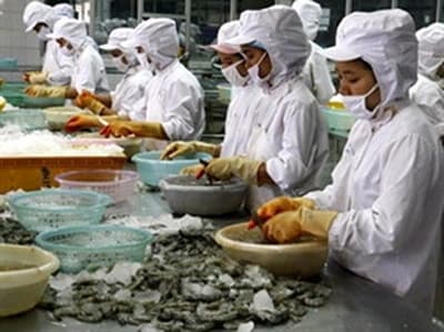 Thị trường Hoa Kỳ và bài học từ các vụ kiện