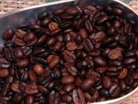 Đức và Hoa Kỳ - hai thị trường nhập khẩu cà phê lớn nhất