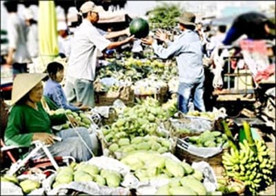 Nông sản xuất khẩu: Bao giờ xứng tiềm năng?