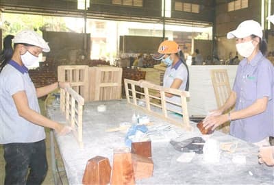 Doanh nghiệp trong nước kêu cứu