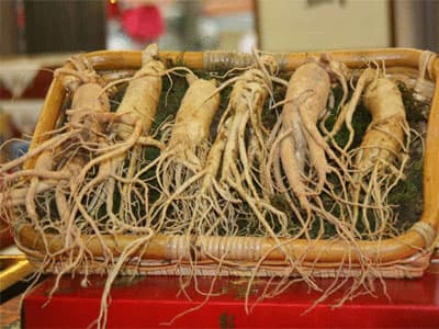 Người tiêu dùng mua “rác” nhân sâm?