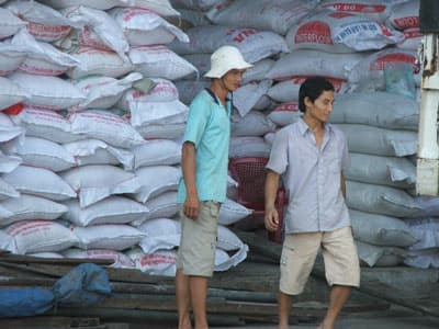 Khi doanh nghiệp và nông dân cùng đồng hành