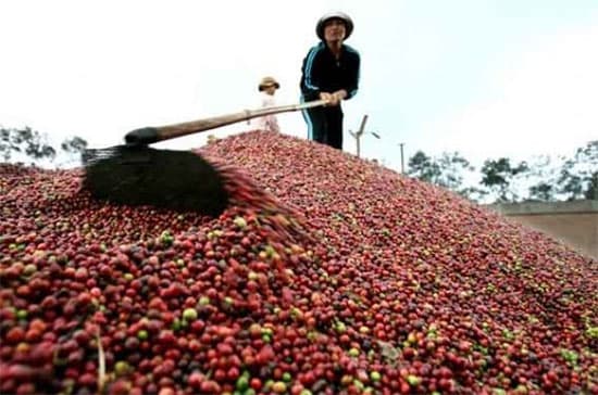 Xuất, nhập khẩu đạt khá trong nửa đầu tháng 9