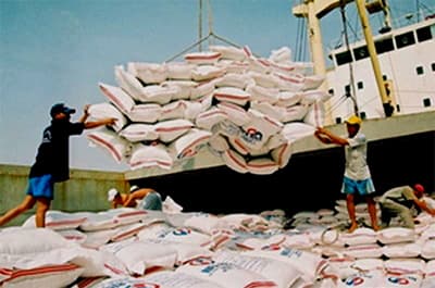 Xuất khẩu nông sản và những thay đổi về dự báo