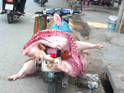 Tăng cường kiểm tra vệ sinh an toàn vệ sinh thực phẩm trong dịp Tết