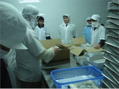 Tăng cường kiểm tra ATVSTP