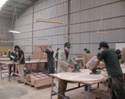 Xuất khẩu gỗ: Cần tận dụng tối đa nguyên liệu trong nước!