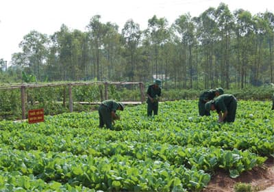 Tự lực tự cường, triệt để tiết kiệm