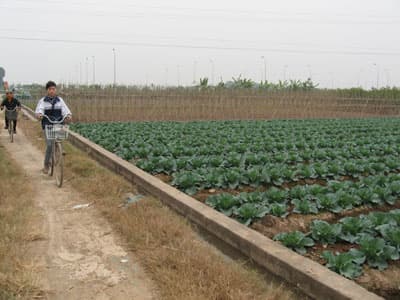 Tái cơ cấu để gia tăng giá trị