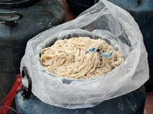 Thu giữ 400kg nội tạng lợn bốc mùi hôi thối