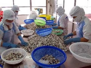 Nhiều doanh nghiệp thủy sản hụt chỉ tiêu xuất khẩu