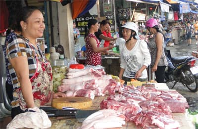 Vì môi trường chăn nuôi sạch