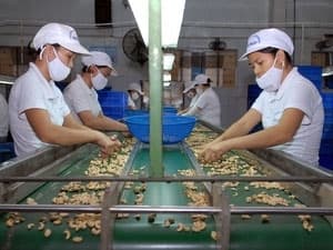 Tháo gỡ khó khăn cho thị trường xuất khẩu nông sản