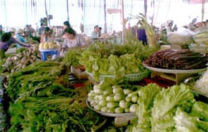 Thị trường cung cầu và giá cả 3 ngày sau Tết tương đối ổn định