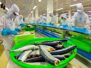 Mỹ vẫn là thị trường nhập khẩu thủy sản hàng đầu