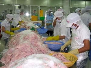 8 doanh nghiệp xuất khẩu cá tra sang Mỹ được hưởng thuế suất thấp