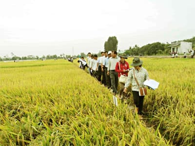 Nâng cao chất lượng, năng suất, lợi nhuận