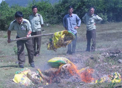 Vi phạm thương hiệu, nhãn mác chỉ bị phạt 1 triệu đồng
