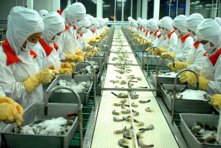 Hoạt động xuất khẩu lao động trong năm 2014: Những tín hiệu tích cực