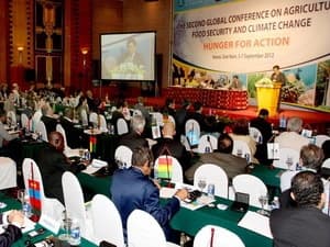 Giá cả leo thang do thời tiết cực đoan