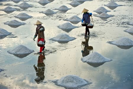 TP Hồ Chí Minh xin xây kho dự trữ muối quốc gia