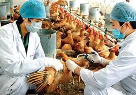 Mỹ hỗ trợ Việt Nam ngăn chặn bùng phát dịch bệnh