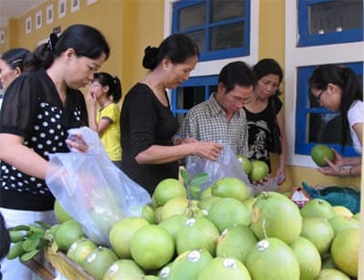 Ngày hội đặc sản thanh trà xứ Huế