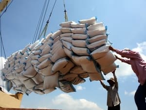 Việt Nam sẽ bán hơn 180.000 tấn gạo cho Philippines