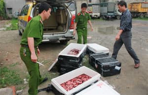 Bắt giữ vụ vận chuyển hơn một tấn nội tạng động vật và gà thịt đã bốc mùi hôi thối