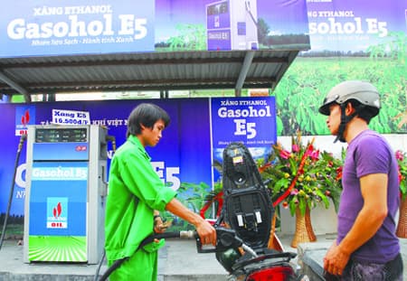 Đưa xăng sinh học vào thị trường theo đúng lộ trình