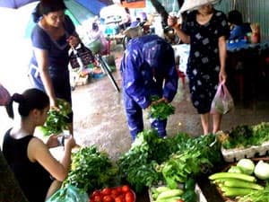 Mưa to nhưng giá thực phẩm tại Hà Nội vẫn ổn định