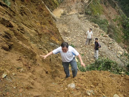 MIC: Bảo hiểm trên rừng, dưới biển